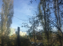 Волгодонцы смогут насладиться солнечным выходным днем