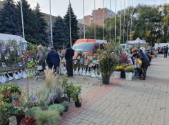 В предстоящую субботу волгодонцев и гостей города приглашают на ярмарку «выходного дня»