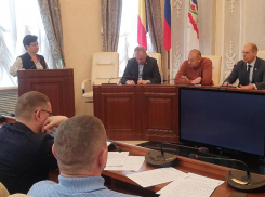 Волгодонские депутаты хотят, чтобы капремонтом «Лесовичка» занялись местные строители
