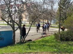 Волгодонские школьники из лицея №11 наводят порядок в сквере Дружба