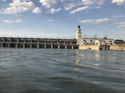 Массовая гибель рыбы на Дону в Волгодонске может быть связана с Цимлянской ГЭС