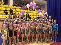 Юные волгодонские гимнастки привезли с соревнований россыпь наград и спортивный опыт