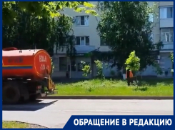 «В жару поливайте деревья, а не когда накрывают дожди!»: горожанка переживает за судьбу насаждений на Ленина