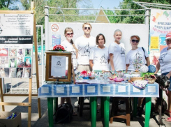 Волгодонцы пожертвовали бездомным животным 26 000 рублей
