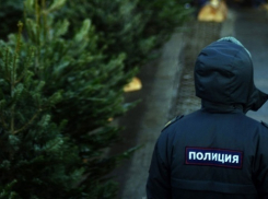 Волгодонцев просят быть бдительными в предновогодние дни 