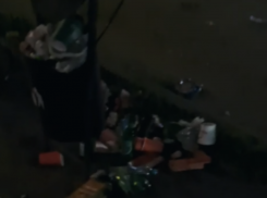 Вечерняя помойка: ночные рейды орды молодежи превращают улицу 30 лет победы в настоящий кошмар