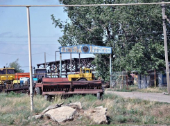 Под Волгодонском произошло массовое заражение рыбы червями-паразитами