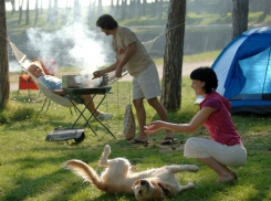 Отдых в лесах под Волгодонском оказался под запретом