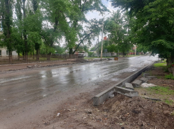 В Волгодонске из-за валки деревьев ограничат движение троллейбусов в старом городе