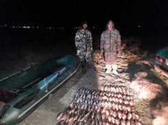 На Дону поймали с поличным двух браконьеров с уловом почти на 200 тысяч рублей