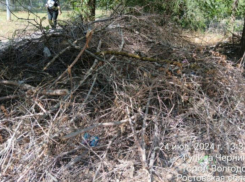 Незаконную свалку строительных отходов и веток ликвидировали возле детского сада «Колокольчик» 