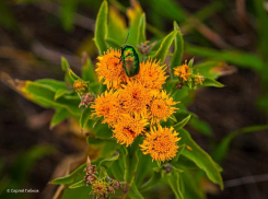 Дождливая погода сохранится в Волгодонске