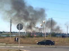 Возле ТРЦ горит мусор и сухая трава − читатель