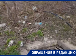 Кругом один мусор и ветки: волгодонцы пытаются добиться чистоты на бульваре Великой Победы