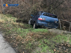  Пьяная пара на автомобиле врезалась в дерево, сбежала с места ДТП и напала на спасателей в Волгодонске 
