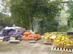 Торговцев арбузами на площади Дзержинского в Волгодонске ждет штраф