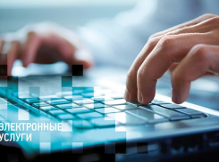 Полиция Волгодонска напоминает о преимуществах получения государственных услуг в электронном виде
