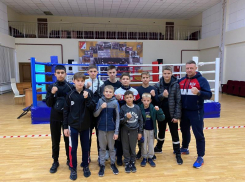 С россыпью наград вернулись волгодонские спортсмены с турнира по боксу