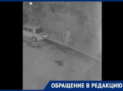 В Волгодонске появился последователь «Цветочного Потрошителя»: волгодончанка