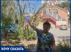 «Дерево заколдовано?»: три года пытается ДСиГХ спилить засохшую черемуху на В-7