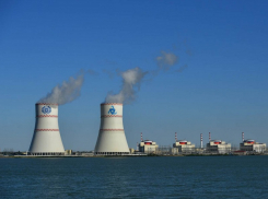 Разводить и продавать краснокнижную рыбу в пруду-охладителе РоАЭС предложили в Волгодонске