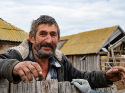 Последний из Кучугур: в хуторе Аксенов Цимлянского района остался один человек