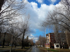 Пасмурно, но тепло будет сегодня в Волгодонске 