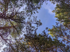 Последний месяц осени начнется в Волгодонске с прохладной погоды