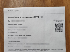 Где волгодонским пенсионерам достать бумажный QR-код