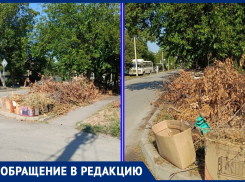 Свалка из веток деревьев мешает обзору водителям: волгодончанка