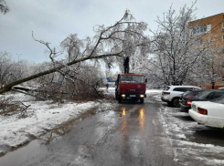 Администрация Волгодонска предупреждает о штормовом предупреждении в связи с аномальными морозами и снегопадами