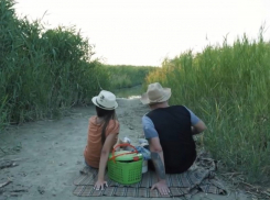 Росстат объявил официальную численность населения Волгодонска после Всероссийской переписи