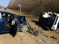 Новорожденная девочка и двое взрослых погибли в ДТП на автодороге Ростов-Волгодонск