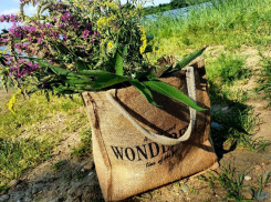 Сильный ветер и до +30: о погоде на 13 июля в Волгодонске 