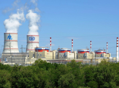 Ростовская АЭС столкнулась с нашествием кровососущих паразитов