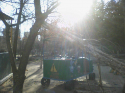  В Волгодонске дерево упало на игрушечный паровозик со Смешариками в детском саду