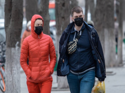 У пяти жителей Волгодонского района подтвердили Covid-19 за сутки