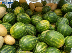 Как выбрать сочный арбуз и сладкую дыню: несколько простых способов