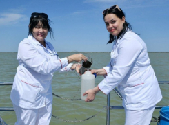 Более 600 миллионов рублей за год направила РоАЭС на охрану окружающей среды