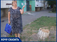 «Роскошную акацию уничтожили вместе с гнездами птиц»: жительница В-7 о рубке деревьев