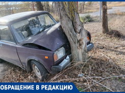 Машина в дереве: горожанка просит отозваться владельца железного коня 