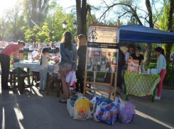 В парке Победы бездомные собаки попытаются найти новый дом