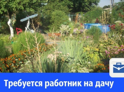 В Волгодонске ищут работников на дачу