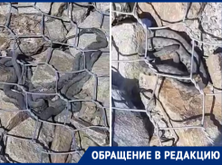 Нашествие змей сняли волгодонцы на набережной в станице Романовская