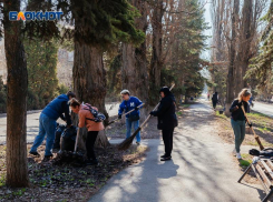 Весенний апгрейд Волгодонска: 18 апреля горожан ждут на субботник
