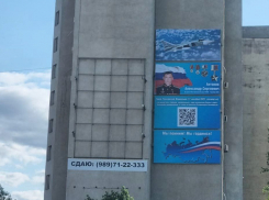 Огромный плакат с унитазом рядом с портретом Героя России демонтировали в Волгодонске