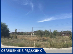 «Город Счастья» превращается в джунгли: жители микрорайона утопают в траве