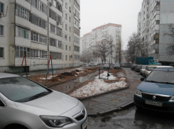 50 деревьев варварски спилили под корень в микрорайоне В-7, - волгодонец