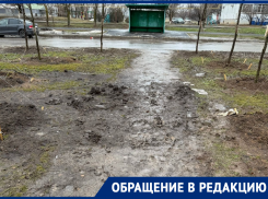 «Зеленое» преображение или грязевое бедствие?: жители Волгодонска требуют навести порядок после высадки деревьев