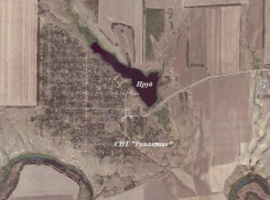 Новый автобусный маршрут между Волгодонском и садоводством «Романтик» может появиться уже в первом квартале 2026 года